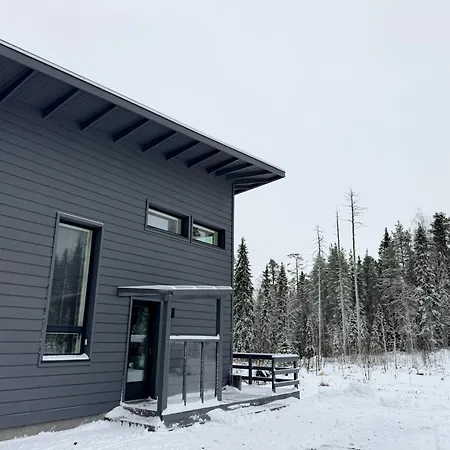 Villa Aurora Of Lapland - Under The Northern Lights Rovaniemi Extérieur photo